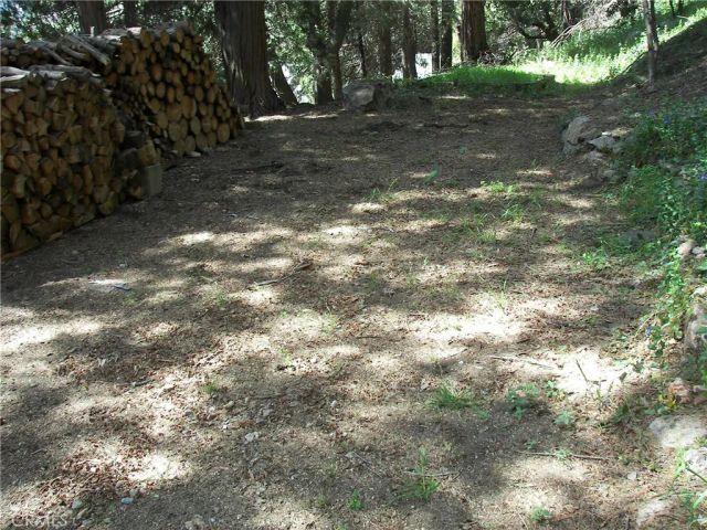 21636 Sawpit Canyon, Cedarpines Park, CA 92322