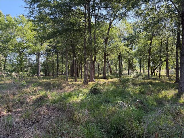 00 County Road 2195, Cleveland, TX 77327