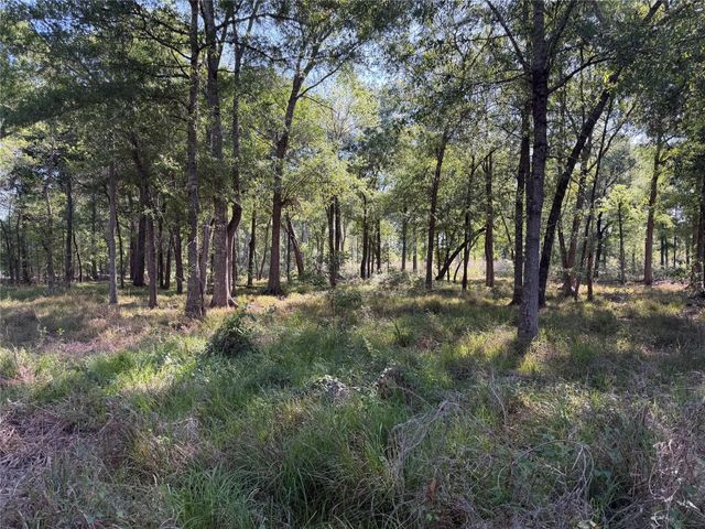 00 County Road 2195, Cleveland, TX 77327