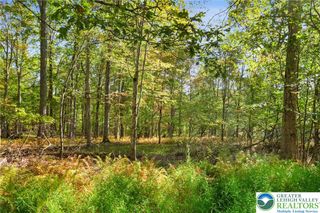 Spring Run Lane, Price Twp, PA 18326