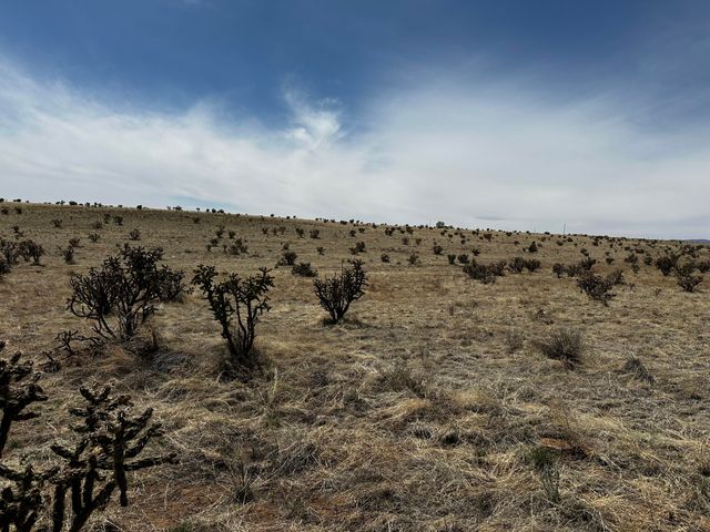 A-3 Camino Sol Y Paz, Stanley, NM 87056