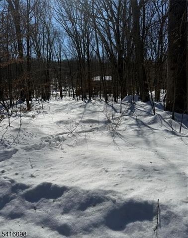 15 Saw Mill Rd, Kinnelon Boro, NJ 07405