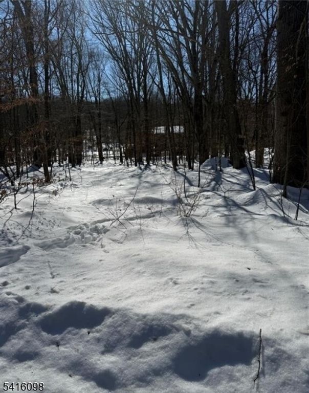 15 Saw Mill Rd, Kinnelon Boro, NJ 07405 — photo 3