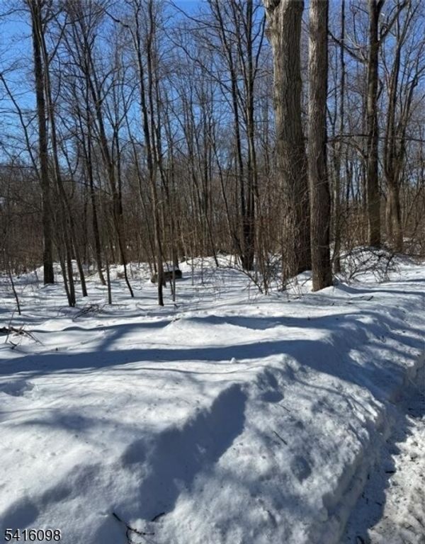 15 Saw Mill Rd, Kinnelon Boro, NJ 07405 — photo 4