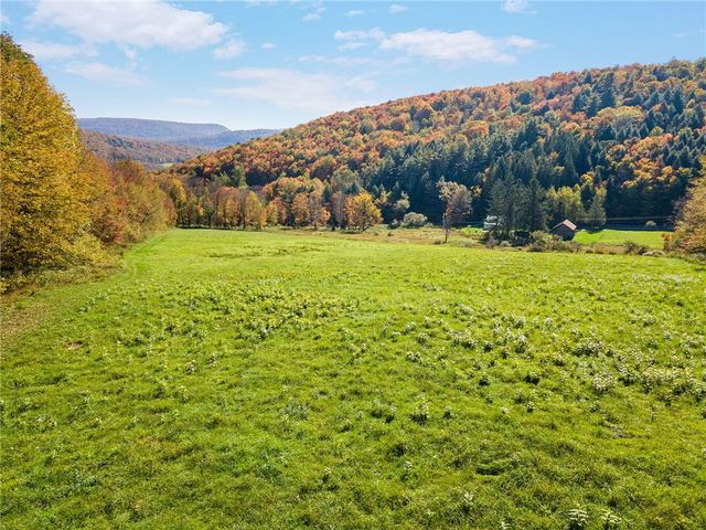 1615 Left Pines Brook Road, Walton, NY 13856