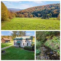 1615 Left Pines Brook Road, Walton, NY 13856