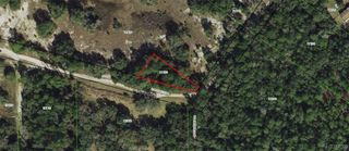 4711 E Posselt Drive, Hernando, FL 34442