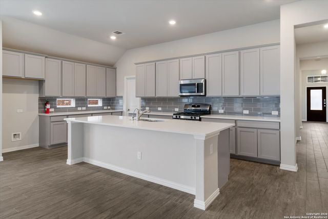 22843 Carriage Bush Dr, San Antonio, TX 78261