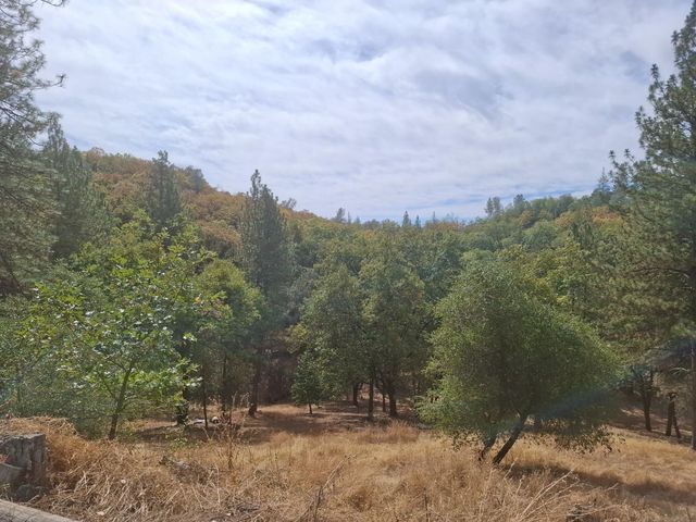 3460 Springer Rd, Placerville, CA 95667