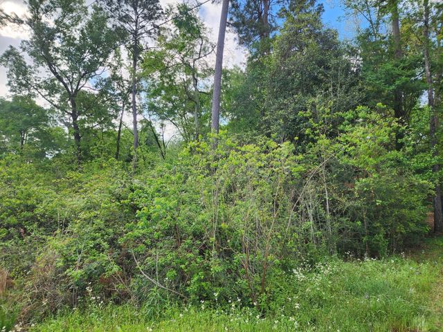 27540 Fm 2090, Splendora, TX 77372