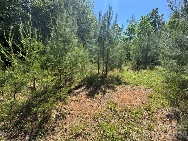 2 Lentz Landing Lane, Nebo, NC 28761