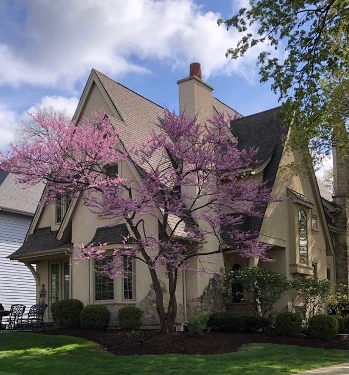 706 N Ellsworth Street, Naperville, IL 60563 — photo 2