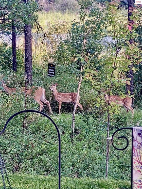 891 Ames Way, Dover, ID 83825 photo 44