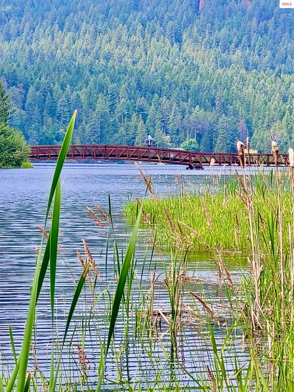 891 Ames Way, Dover, ID 83825 photo 76