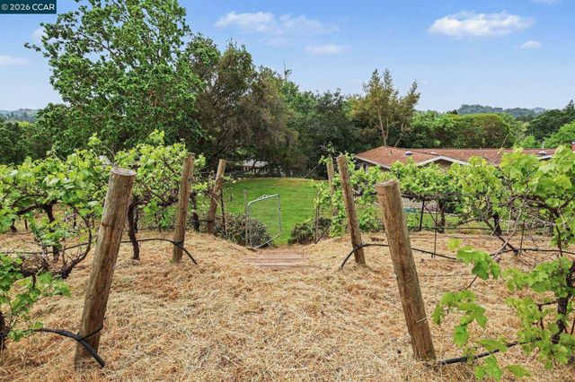 4 Dale Court, Lafayette, CA 94595