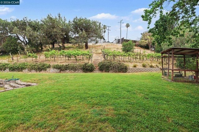 4 Dale Court, Lafayette, CA 94595