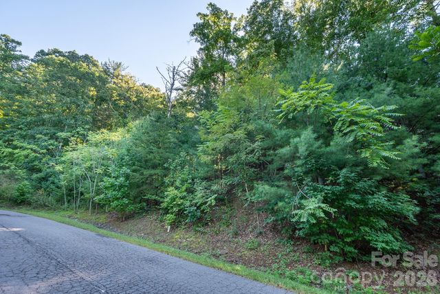 70 Hawtree Court, Weaverville, NC 28787