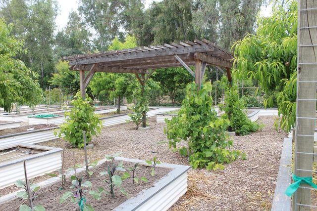 2307 N Hayes Avenue, Fresno, CA 93723