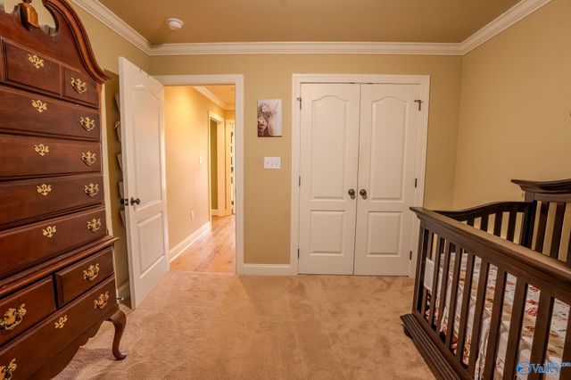 509 Andrew Court, Moulton, AL 35650