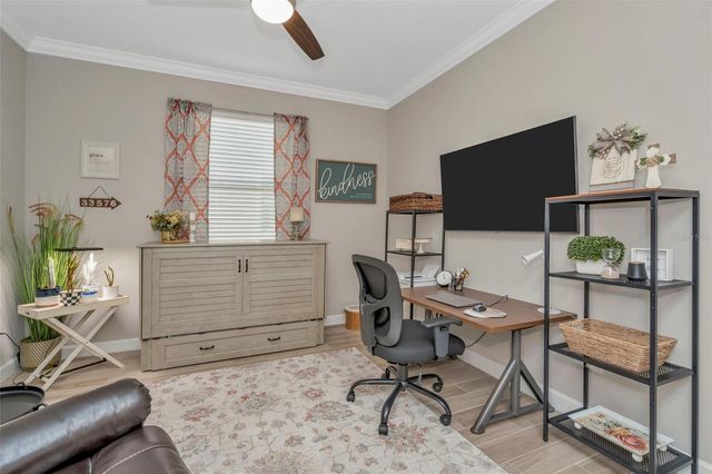 31493 CANNON RUSH DRIVE, San Antonio, FL 33576