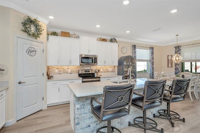 31493 CANNON RUSH DRIVE, San Antonio, FL 33576