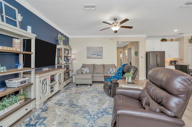 31493 CANNON RUSH DRIVE, San Antonio, FL 33576