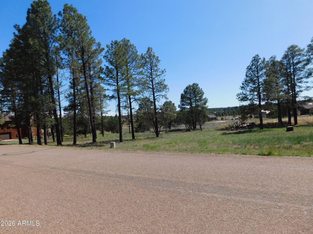 Image 1 of property listing at 2215 COUNTRY CLUB Drive 12, Overgaard, AZ 85933