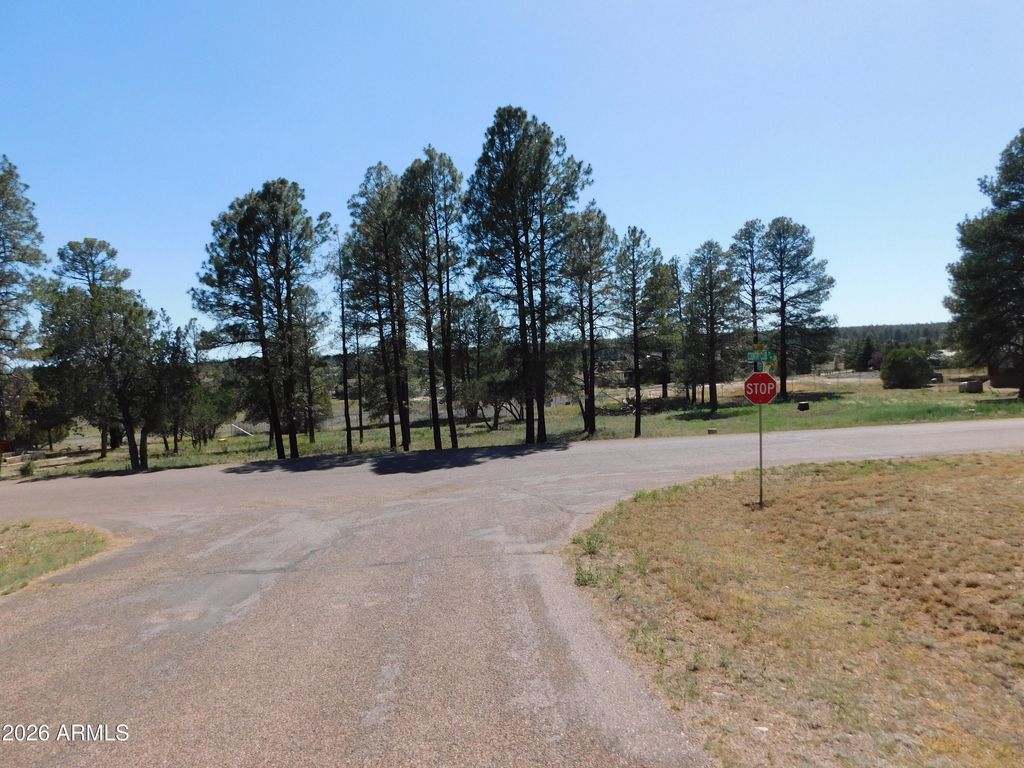 Image 2 of property listing at 2215 COUNTRY CLUB Drive 12, Overgaard, AZ 85933