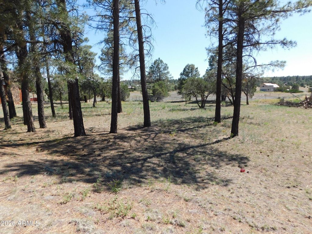 Image 3 of property listing at 2215 COUNTRY CLUB Drive 12, Overgaard, AZ 85933