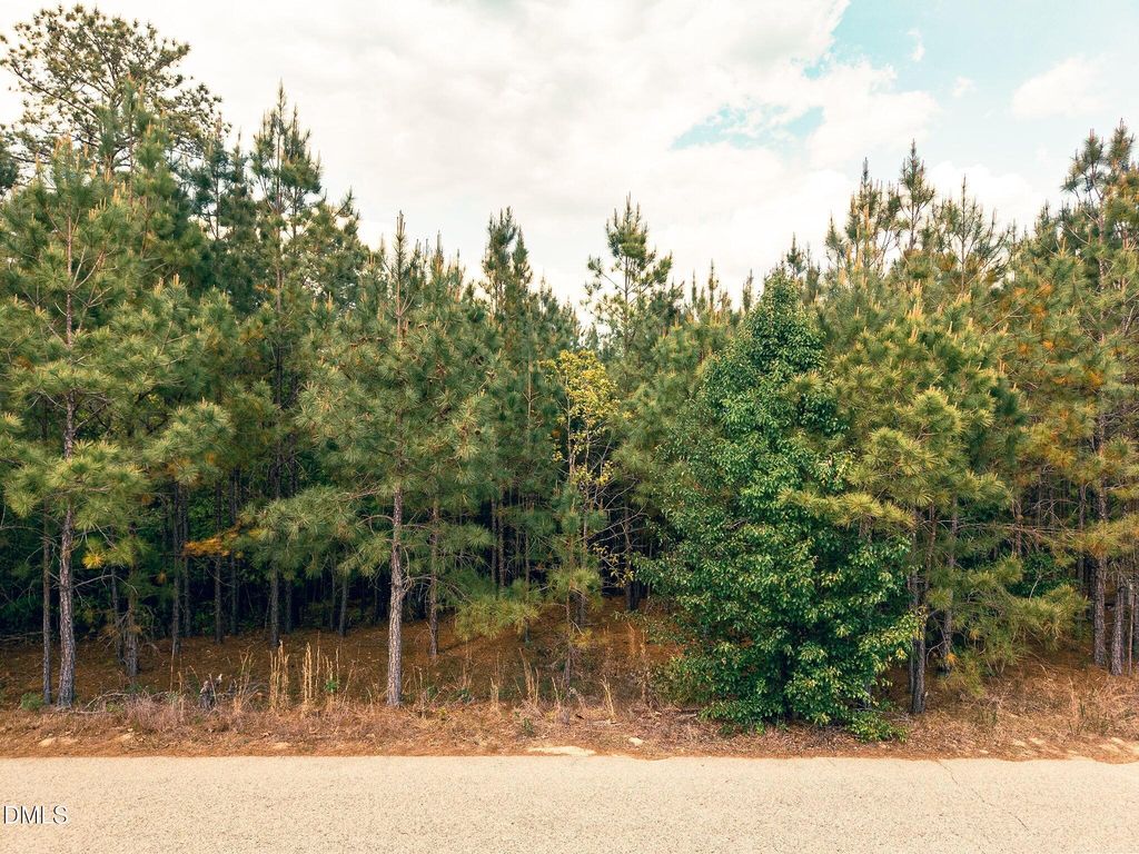 161 Appleton Way, Sanford, NC 27332