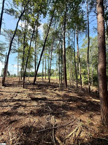 0 Thompson Road Lot 2, Greer, SC 29651
