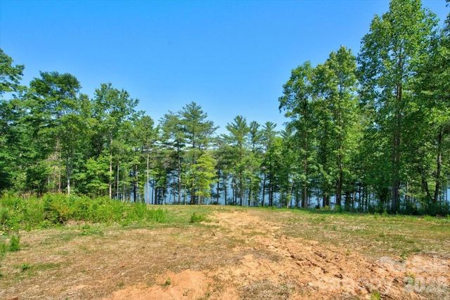2199 Castle Peak Mountain, Connelly Springs, NC 28612