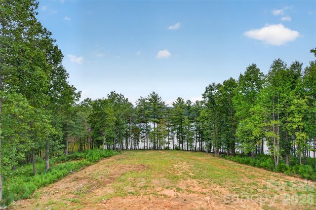 2199 Castle Peak Mountain, Connelly Springs, NC 28612
