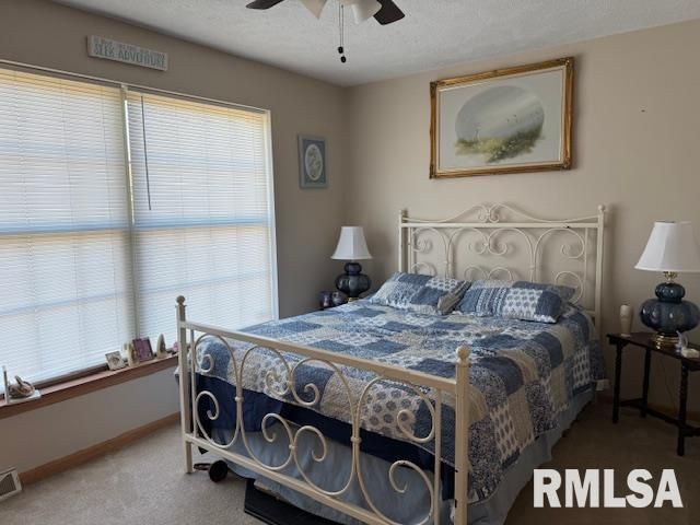 22145 Old Delta Mine Road, Marion, IL 62959