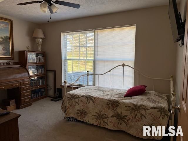 22145 Old Delta Mine Road, Marion, IL 62959