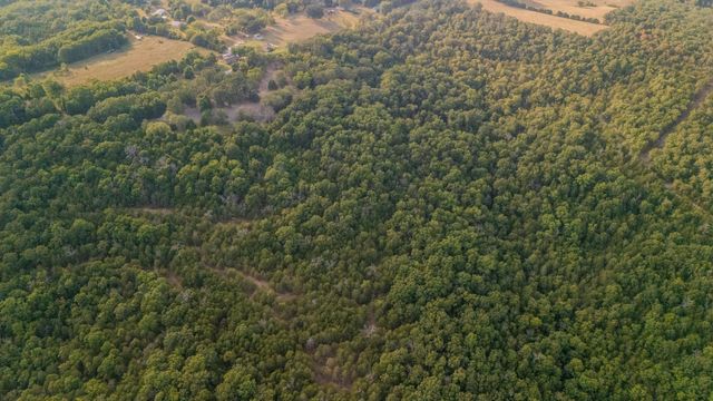 1755 State Hwy O- Tract B, Kissee Mills, MO 65680