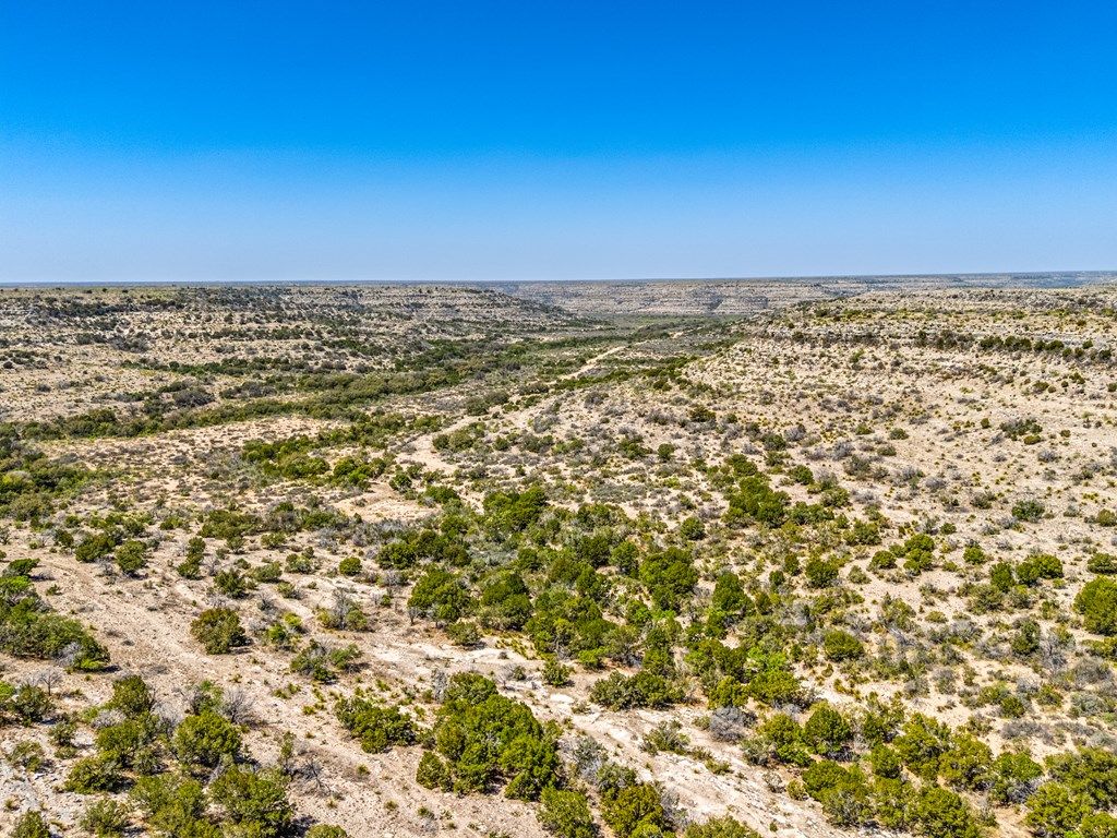 Image 15 of property listing at . Deer Run Rd # 89 TR 89, Ozona, TX 76943