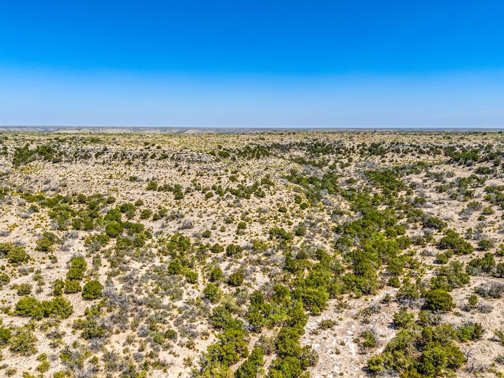 Image 18 of property listing at . Deer Run Rd # 89 TR 89, Ozona, TX 76943