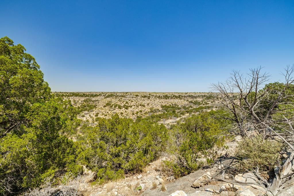 Image 2 of property listing at . Deer Run Rd # 89 TR 89, Ozona, TX 76943