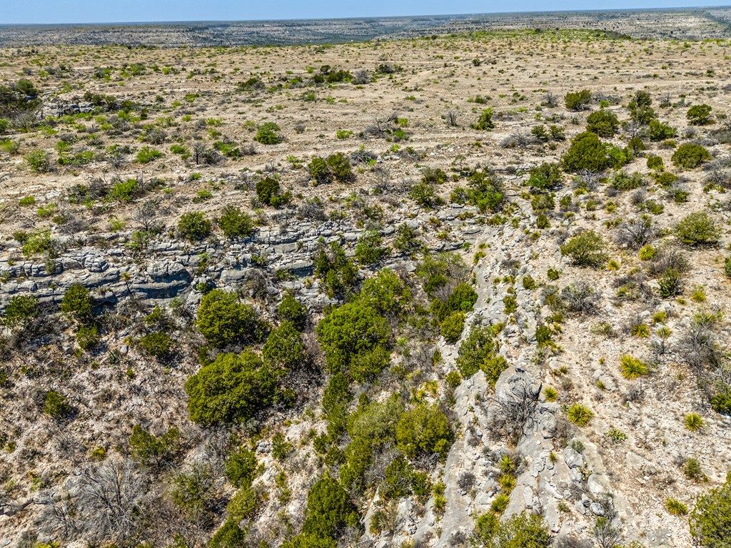 Image 41 of property listing at . Deer Run Rd # 89 TR 89, Ozona, TX 76943