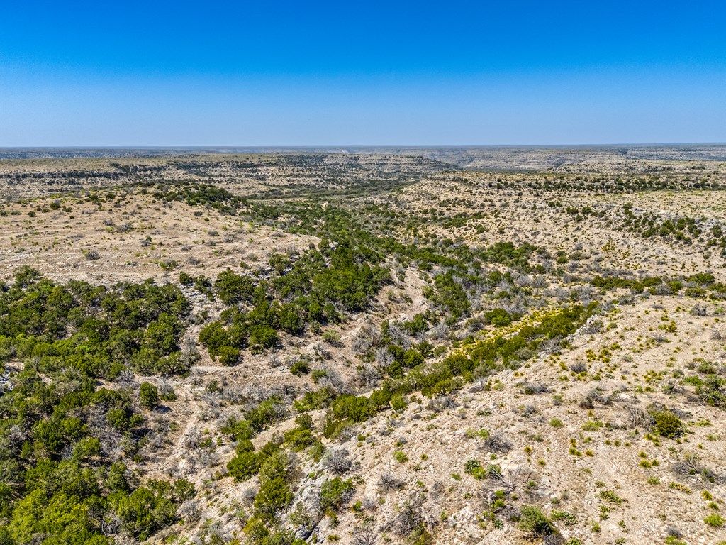 Image 8 of property listing at . Deer Run Rd # 89 TR 89, Ozona, TX 76943