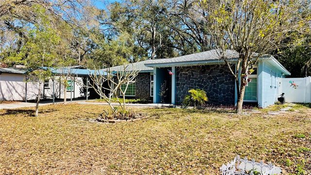 14809 TULIP DRIVE, Tampa, FL 33613