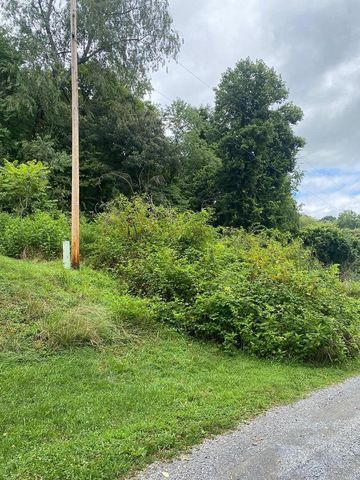 Lot 13 Crest Hills DR, Moneta, VA 24121