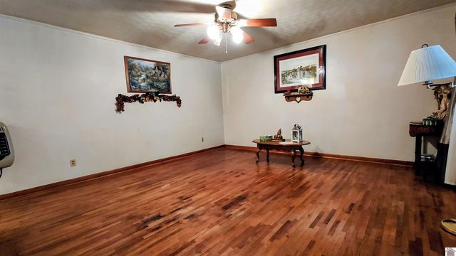 410 Pecan Dr, Clinton, KY 42021