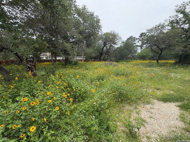 22847 Black Cherry, Elmendorf, TX 78112