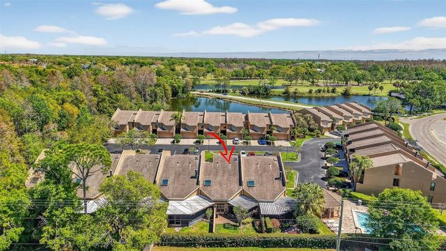 13804 MILL COVE CIRCLE, Tampa, FL 33618