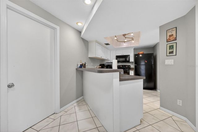 13804 MILL COVE CIRCLE, Tampa, FL 33618