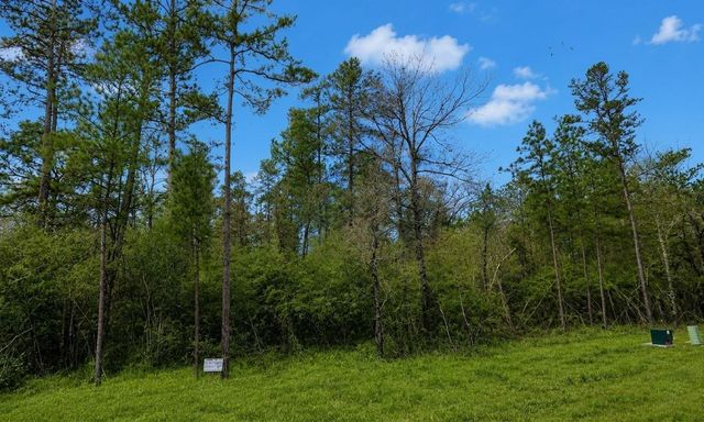 15633 Ridge Rock Road, Willis, TX 77378