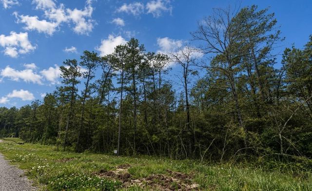 15633 Ridge Rock Road, Willis, TX 77378