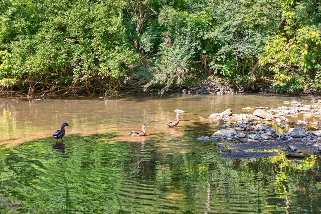 885 Fiddler Creek Way, Lexington, KY 40515